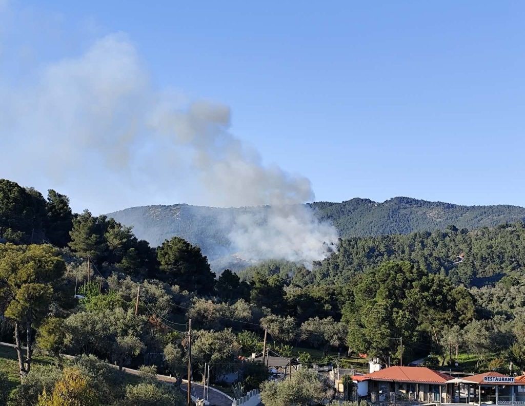 Φωτιά στη Σκιάθο 